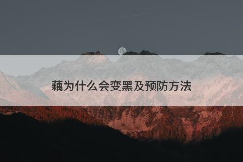 藕为什么会变黑及预防方法
