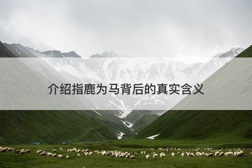 介绍指鹿为马背后的真实含义