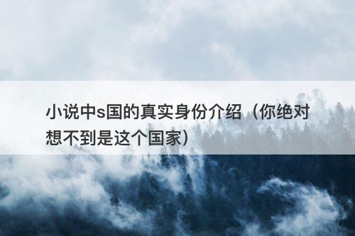 小说中s国的真实身份介绍（你绝对想不到是这个国家）