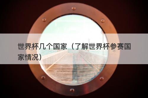 世界杯几个国家（了解世界杯参赛国家情况）