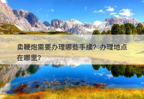 卖鞭炮需要办理哪些手续？办理地点在哪里？