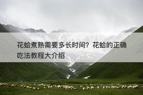 花蛤煮熟需要多长时间？花蛤的正确吃法教程大介绍