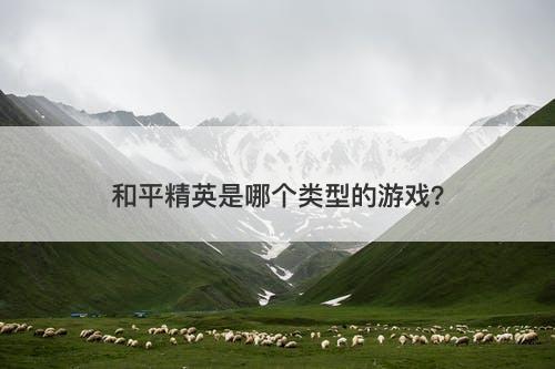和平精英是哪个类型的游戏？