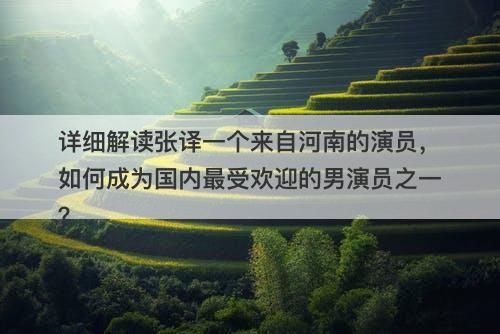 详细解读张译一个来自河南的演员，如何成为国内最受欢迎的男演员之一？