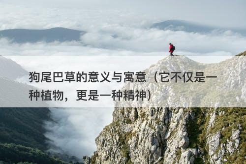 狗尾巴草的意义与寓意（它不仅是一种植物，更是一种精神）