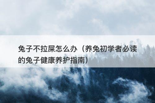 兔子不拉屎怎么办（养兔初学者必读的兔子健康养护指南）