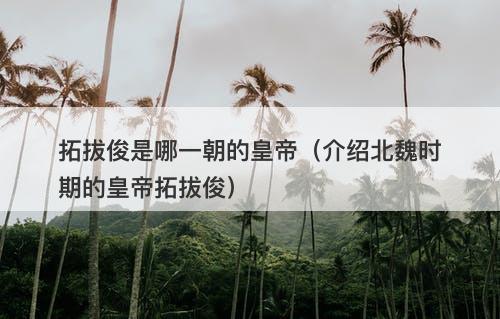 拓拔俊是哪一朝的皇帝（介绍北魏时期的皇帝拓拔俊）