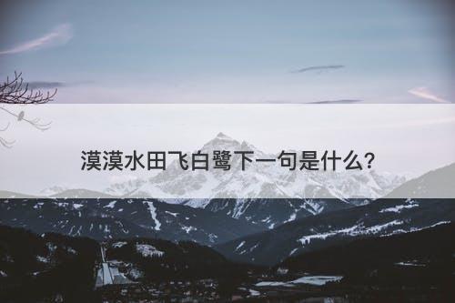 漠漠水田飞白鹭下一句是什么？