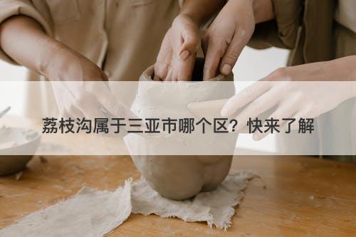 荔枝沟属于三亚市哪个区？快来了解