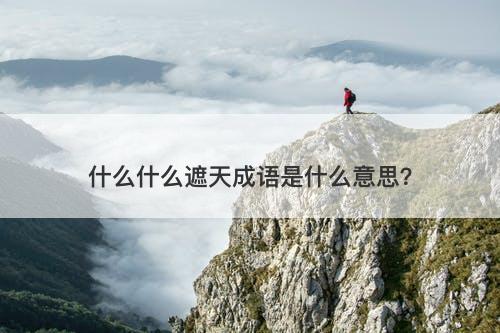 什么什么遮天成语是什么意思？