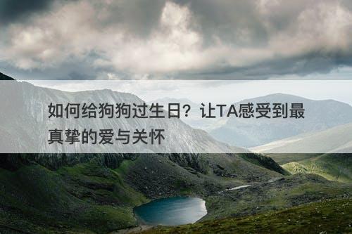 如何给狗狗过生日？让TA感受到最真挚的爱与关怀