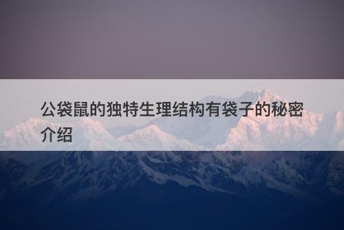 公袋鼠的独特生理结构有袋子的秘密介绍