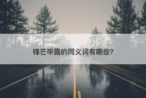 锋芒毕露的同义词有哪些？