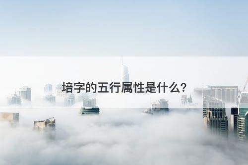 培字的五行属性是什么？