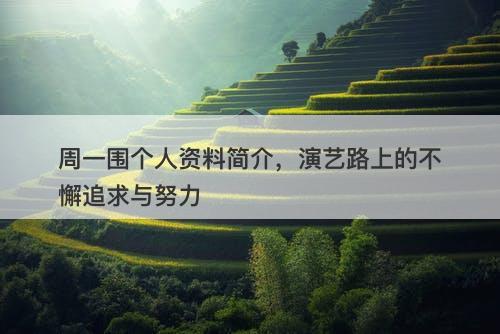 周一围个人资料简介，演艺路上的不懈追求与努力