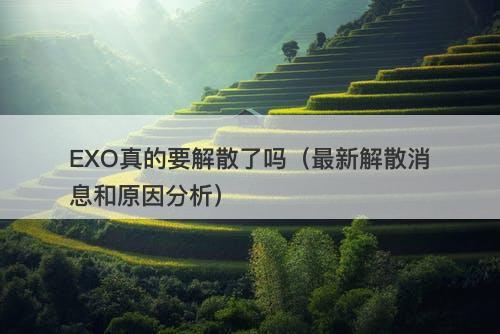 EXO真的要解散了吗（最新解散消息和原因分析）