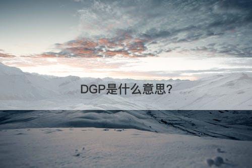 DGP是什么意思？