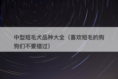 中型短毛犬品种大全（喜欢短毛的狗狗们不要错过）