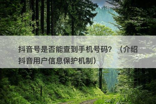 抖音号是否能查到手机号码？（介绍抖音用户信息保护机制）