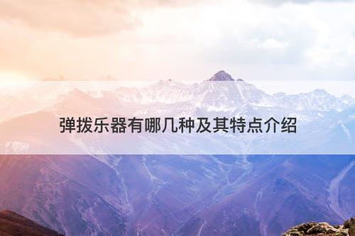 弹拨乐器有哪几种及其特点介绍