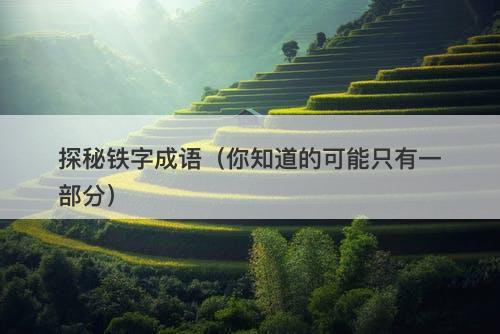探秘铁字成语（你知道的可能只有一部分）