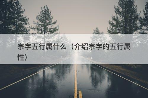 宗字五行属什么（介绍宗字的五行属性）