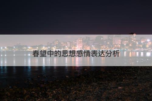 春望中的思想感情表达分析