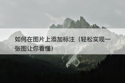 如何在图片上添加标注（轻松实现一张图让你看懂）
