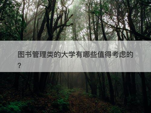 图书管理类的大学有哪些值得考虑的？