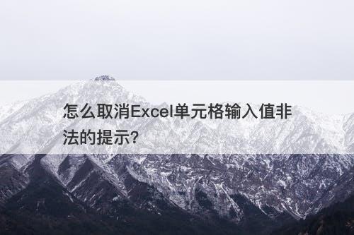 怎么取消Excel单元格输入值非法的提示？