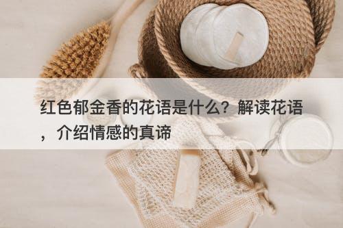 红色郁金香的花语是什么？解读花语，介绍情感的真谛