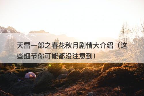 天雷一部之春花秋月剧情大介绍（这些细节你可能都没注意到）-图1