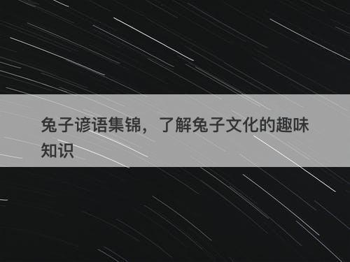 兔子谚语集锦，了解兔子文化的趣味知识-图1