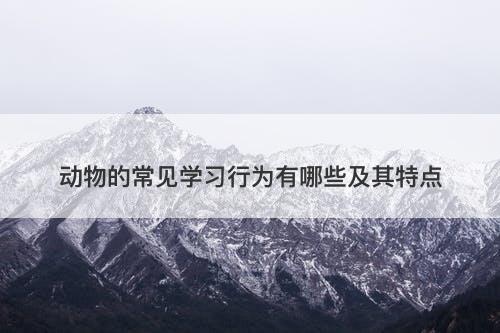 动物的常见学习行为有哪些及其特点