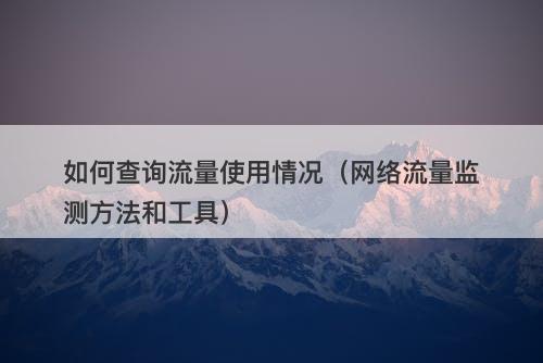 如何查询流量使用情况（网络流量监测方法和工具）