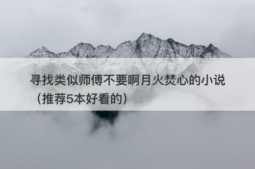 寻找类似师傅不要啊月火焚心的小说（推荐5本好看的）
