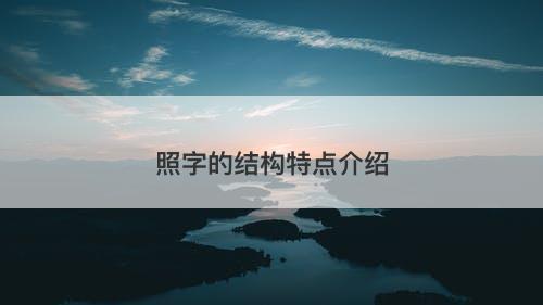 照字的结构特点介绍