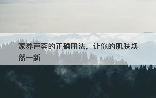 家养芦荟的正确用法，让你的肌肤焕然一新