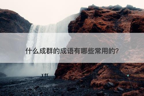什么成群的成语有哪些常用的？