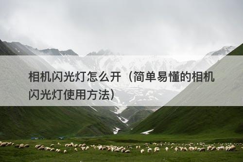 相机闪光灯怎么开（简单易懂的相机闪光灯使用方法）