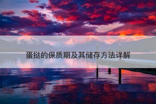 蛋挞的保质期及其储存方法详解