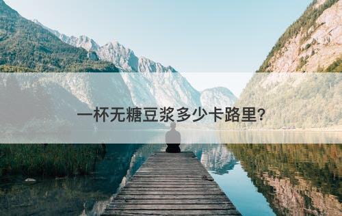 一杯无糖豆浆多少卡路里？