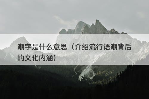 潮字是什么意思（介绍流行语潮背后的文化内涵）