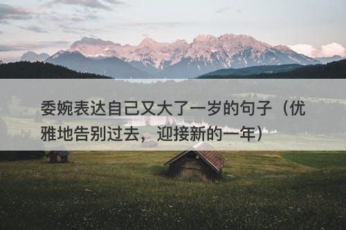 委婉表达自己又大了一岁的句子（优雅地告别过去，迎接新的一年）