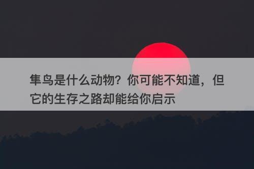 隼鸟是什么动物？你可能不知道，但它的生存之路却能给你启示