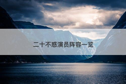 二十不惑演员阵容一览