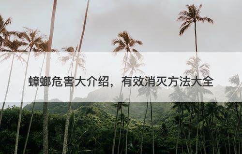 蟑螂危害大介绍，有效消灭方法大全