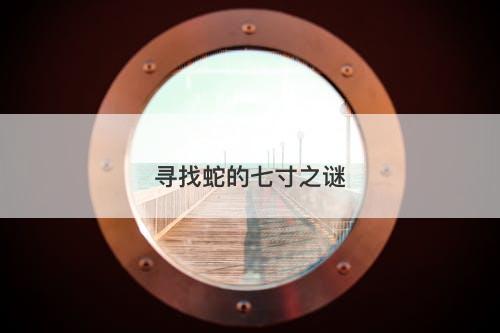 寻找蛇的七寸之谜