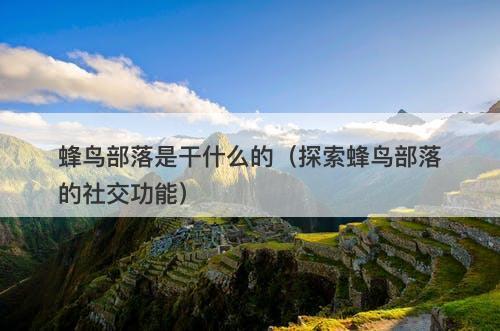 蜂鸟部落是干什么的（探索蜂鸟部落的社交功能）-图1