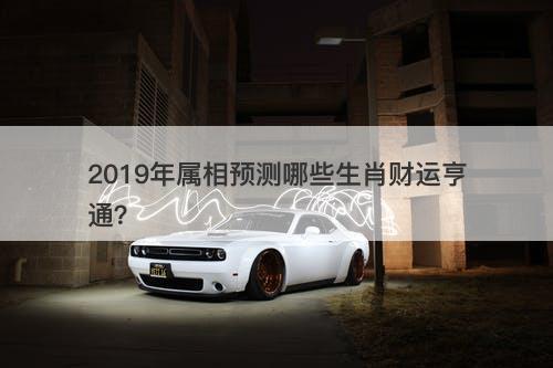 2019年属相预测哪些生肖财运亨通？